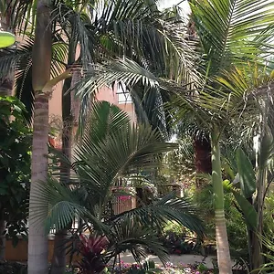 Apartment Constantaras